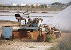 Salines Trapani